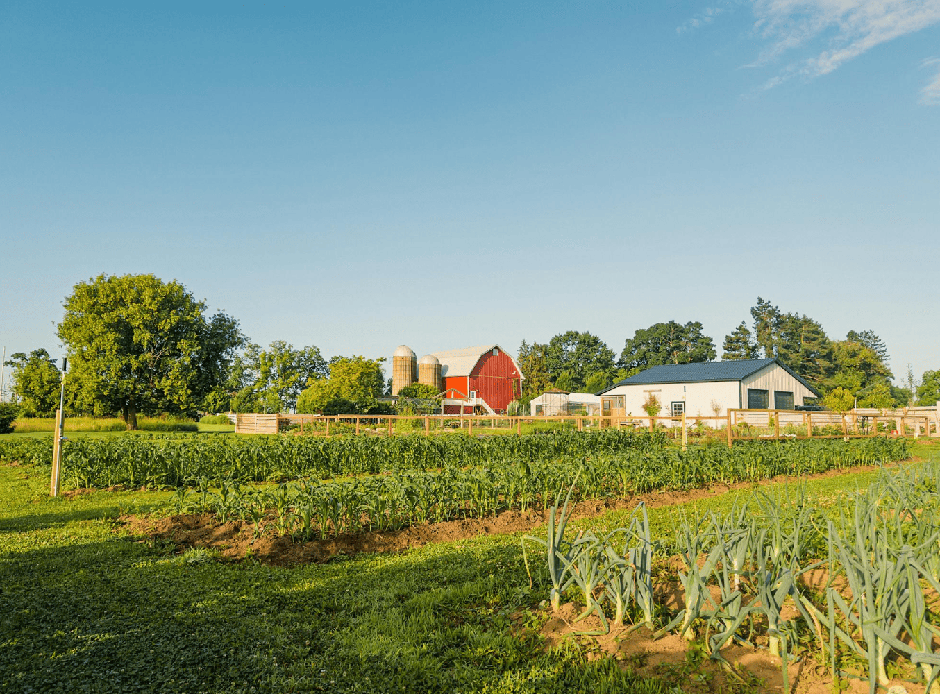 Homes for sale Cypress County featuring expansive prairie landscapes and custom rural residences